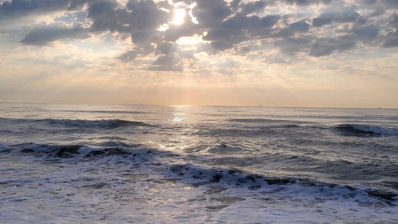 Photo of Others in Avon By The Sea