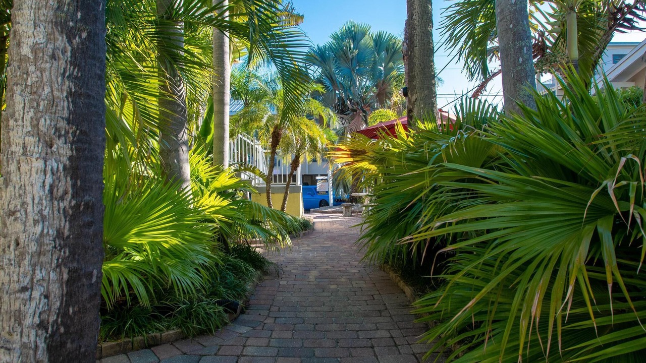 Photo of Others in Clearwater Beach