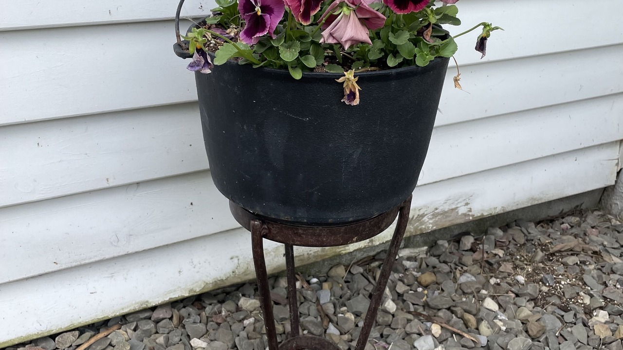 Photo of Outdoor in Burdett