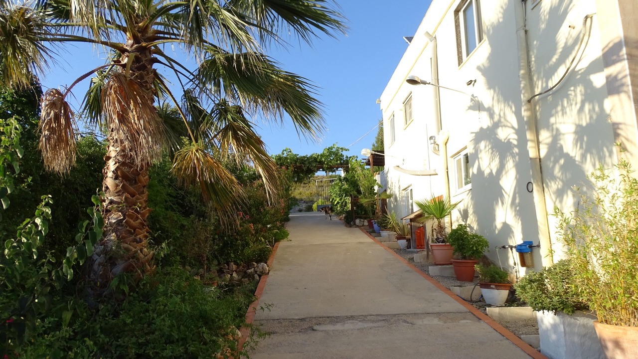 Photo of Outdoor in Macastre