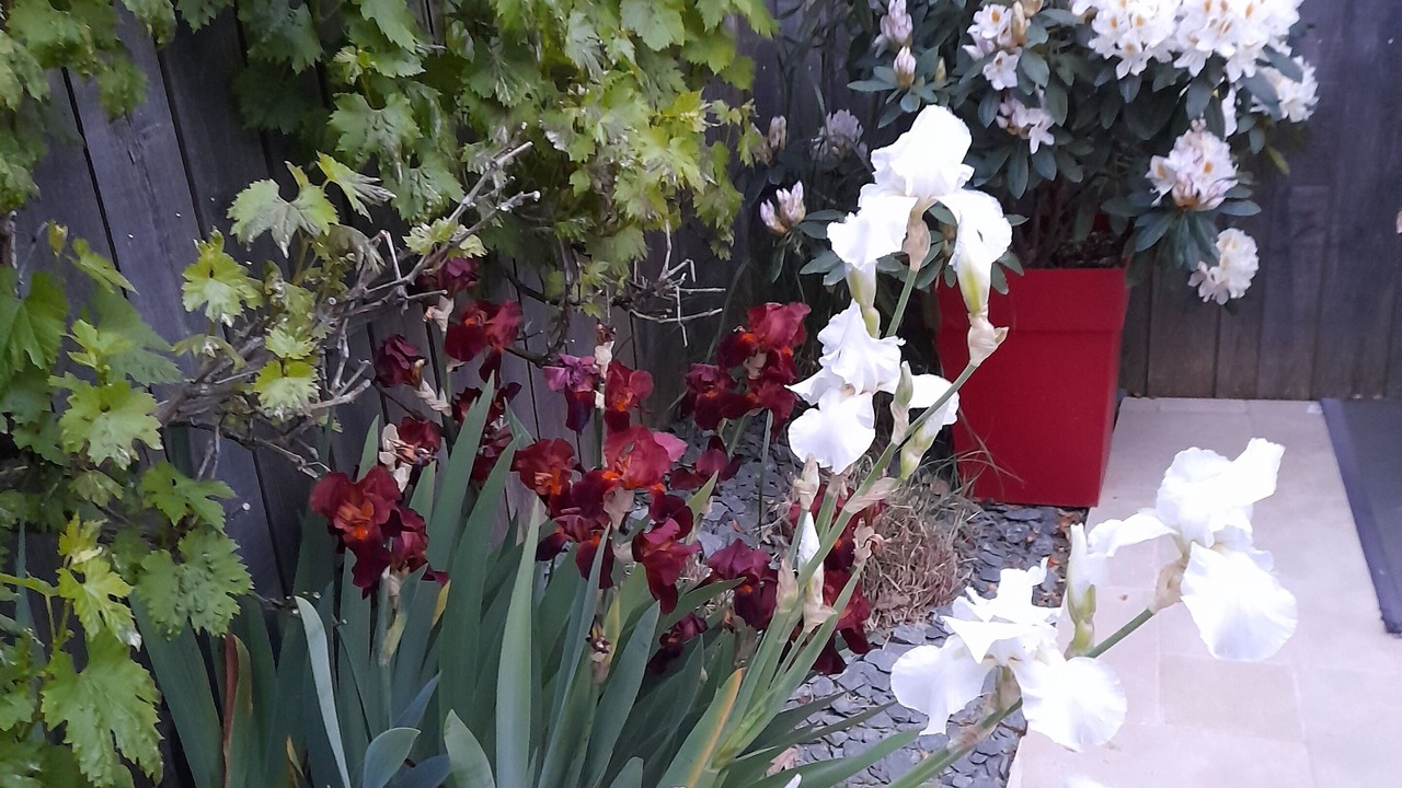 Photo of Outdoor in Lancieux