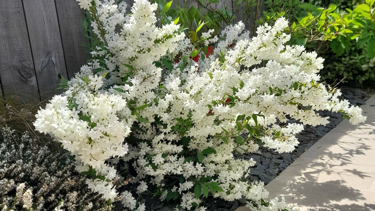 Photo of Outdoor in Lancieux