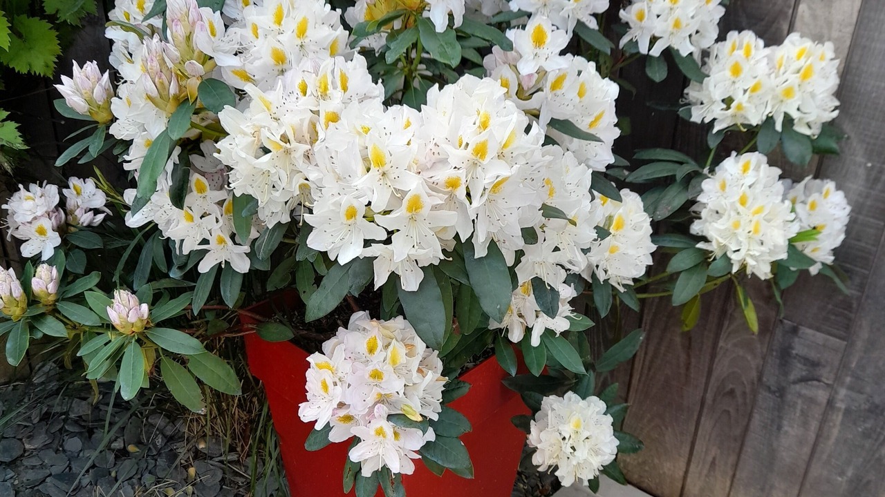 Photo of Outdoor in Lancieux