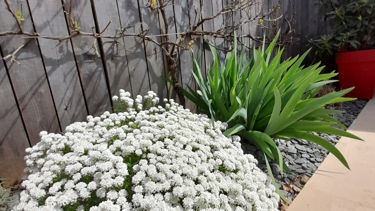 Photo of Outdoor in Lancieux