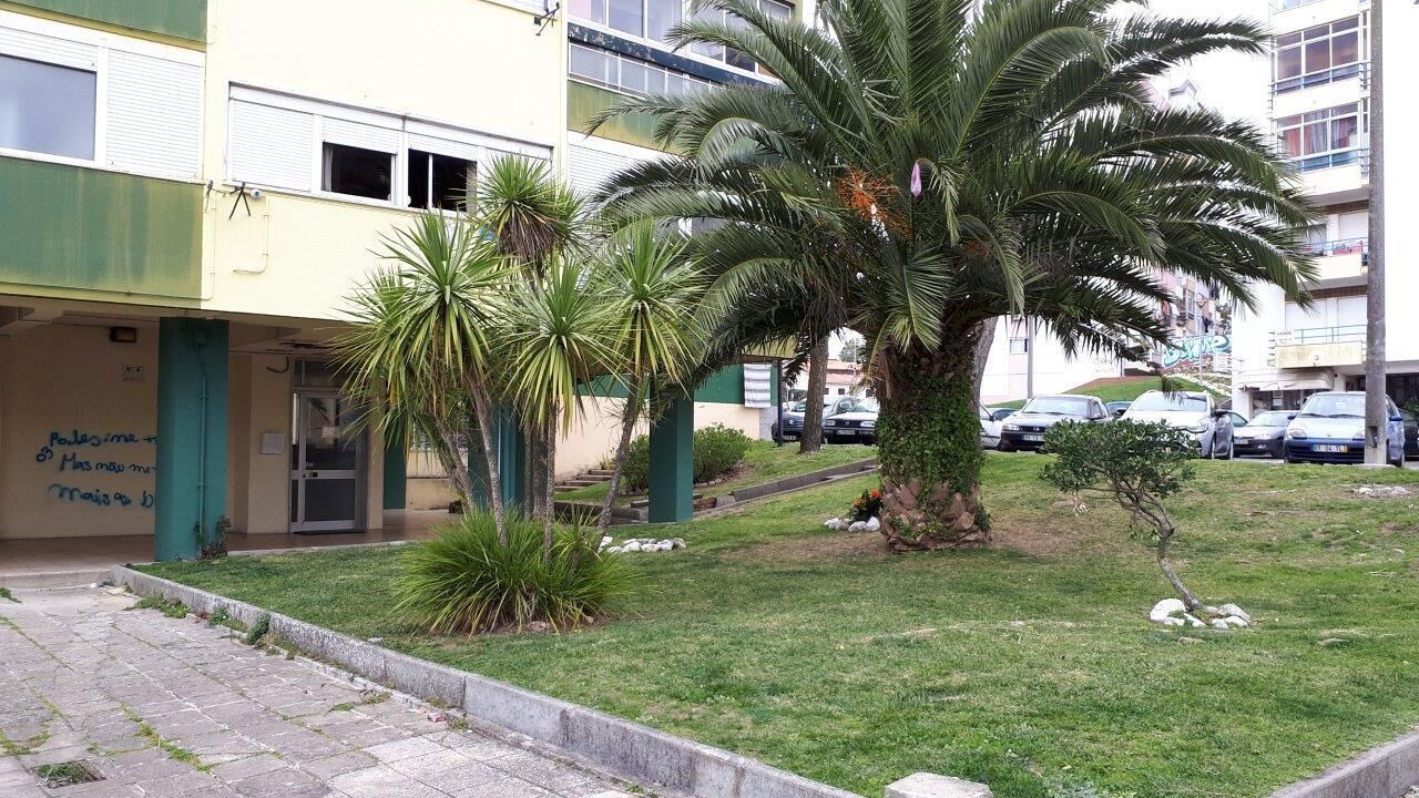 Photo of Outdoor in Rio de Mouro