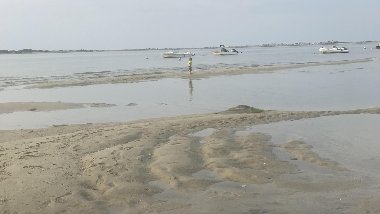 Photo of Others in Barnstable