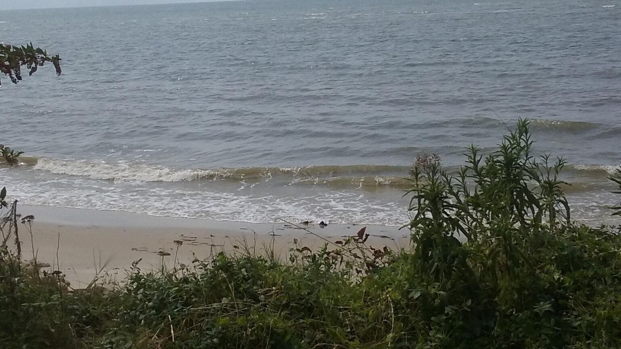 Photo of Others in Silver Beach