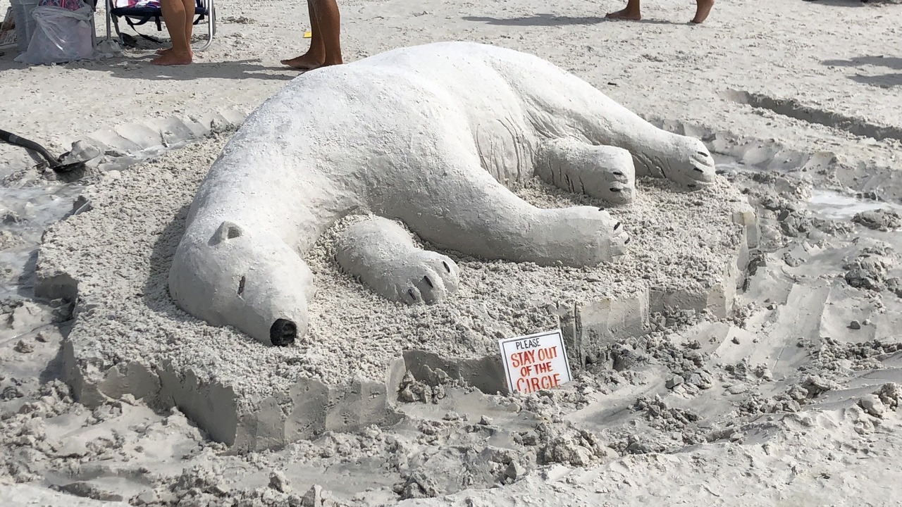 Photo of Others in Siesta Key