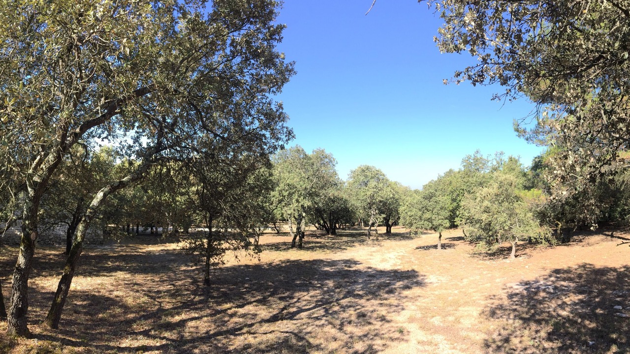 Photo of Outdoor in Goult