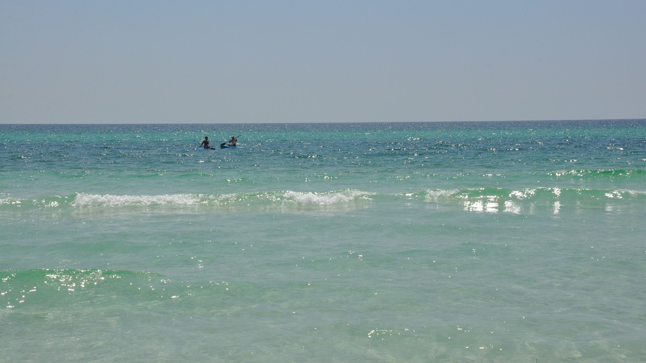 Photo of Others in Dune Allen Beach
