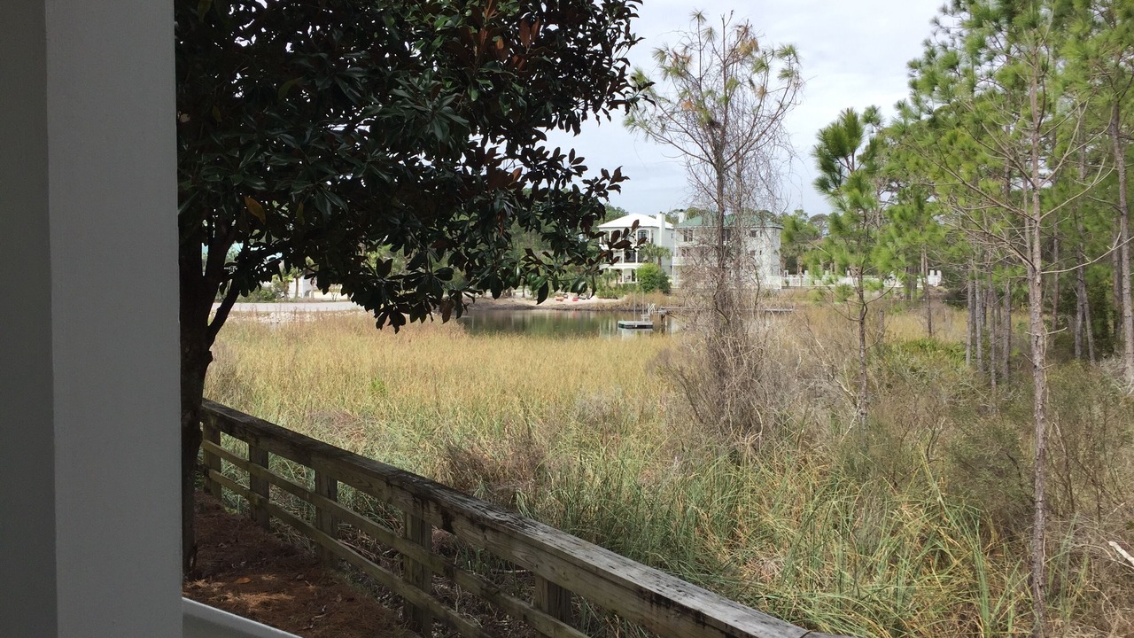 Photo of Outdoor in Dune Allen Beach