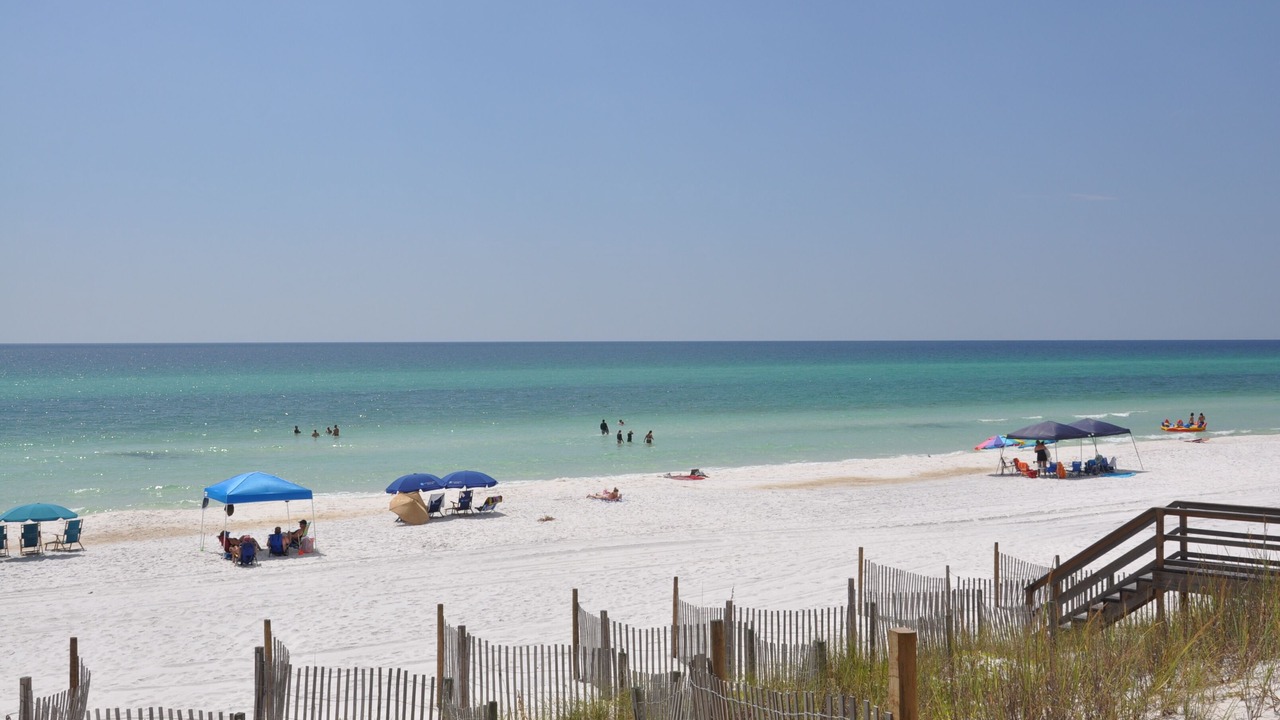 Photo of Others in Dune Allen Beach
