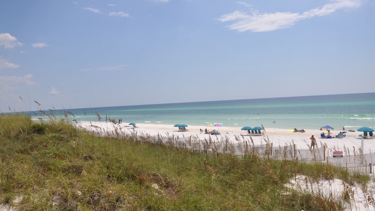 Photo of Others in Dune Allen Beach