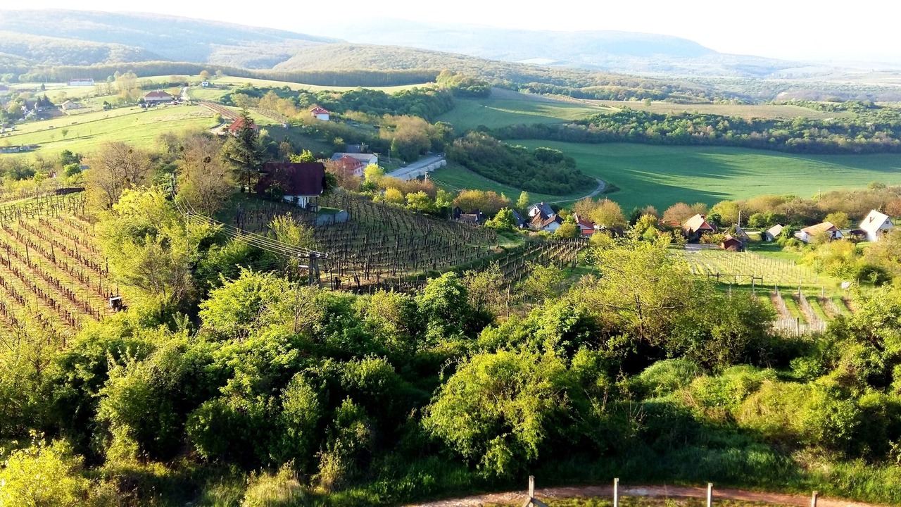 Photo of Outdoor in Dunaszentmiklos