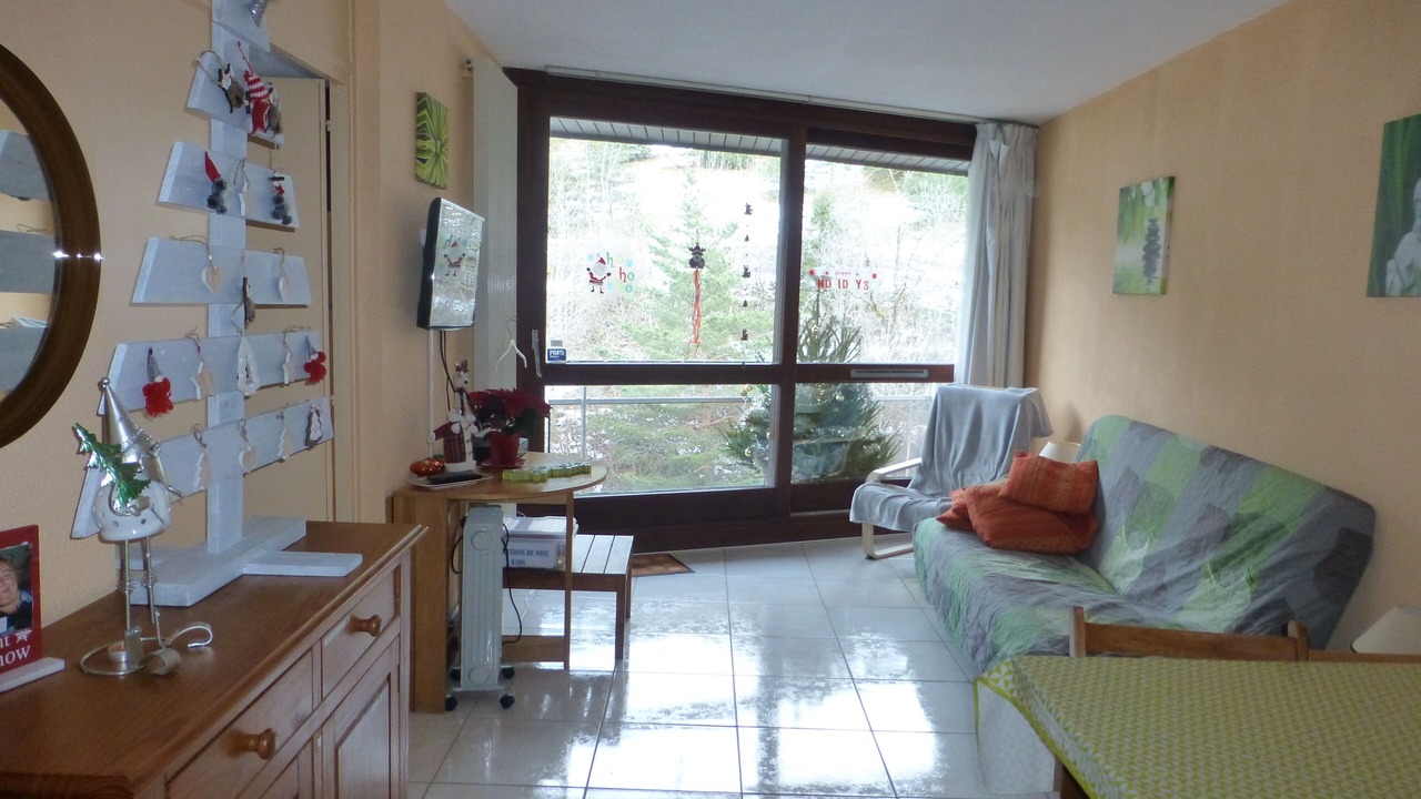 Photo of Livingroom in Villard-de-Lans