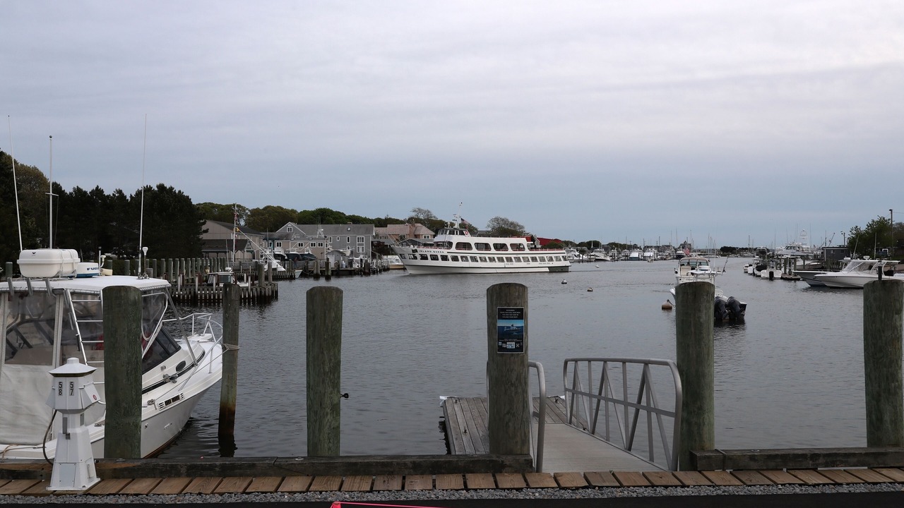 Photo of Others in Falmouth