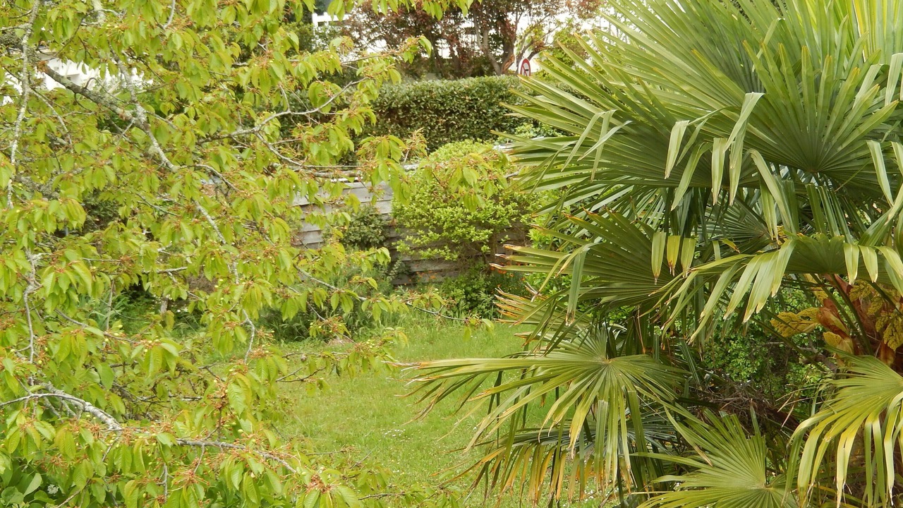 Photo of Outdoor in Carnac