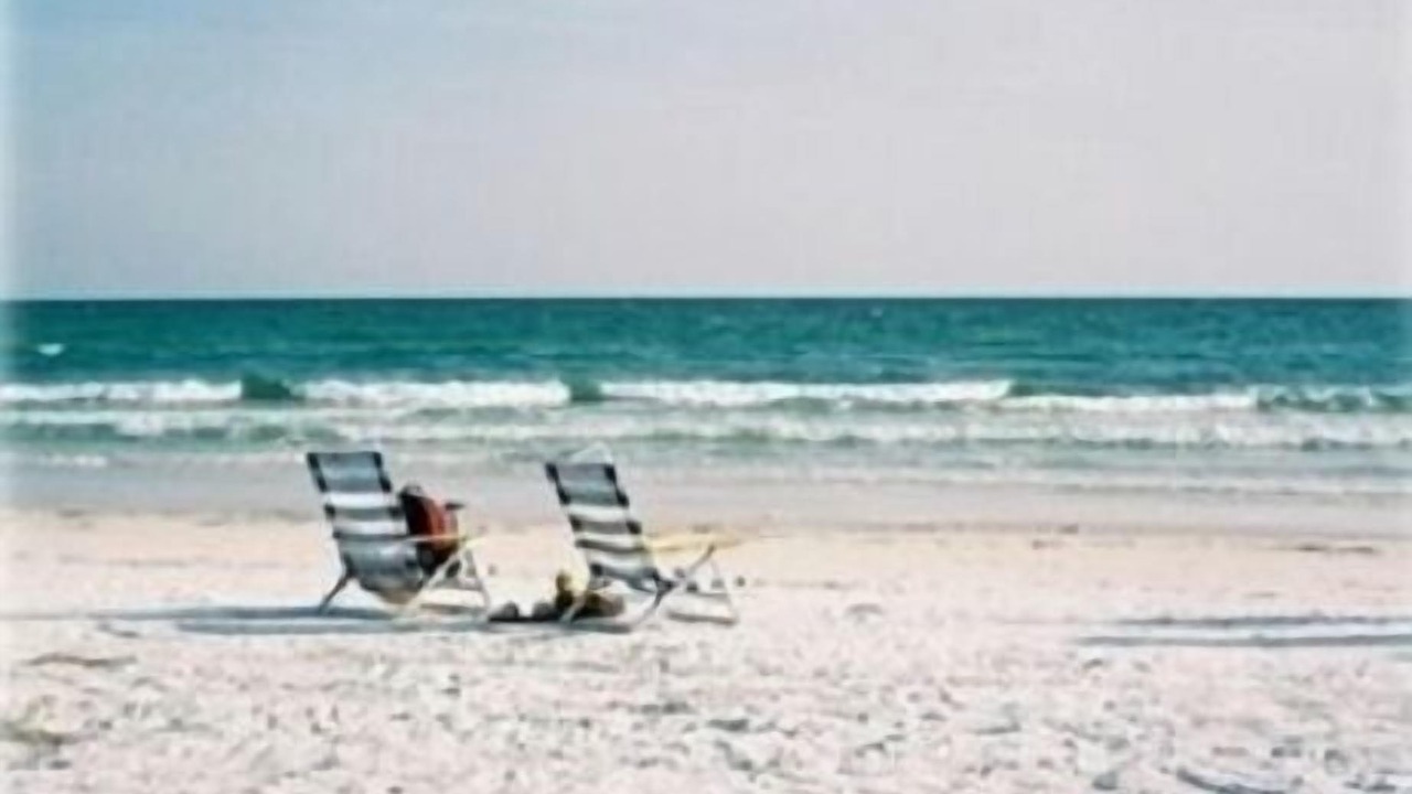 Photo of Others in Siesta Key