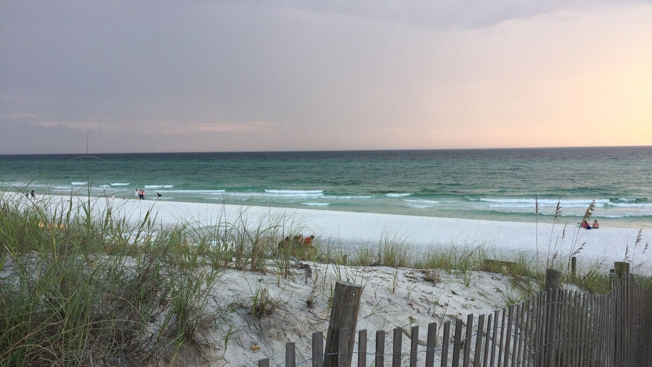 Photo of Others in Seagrove Beach