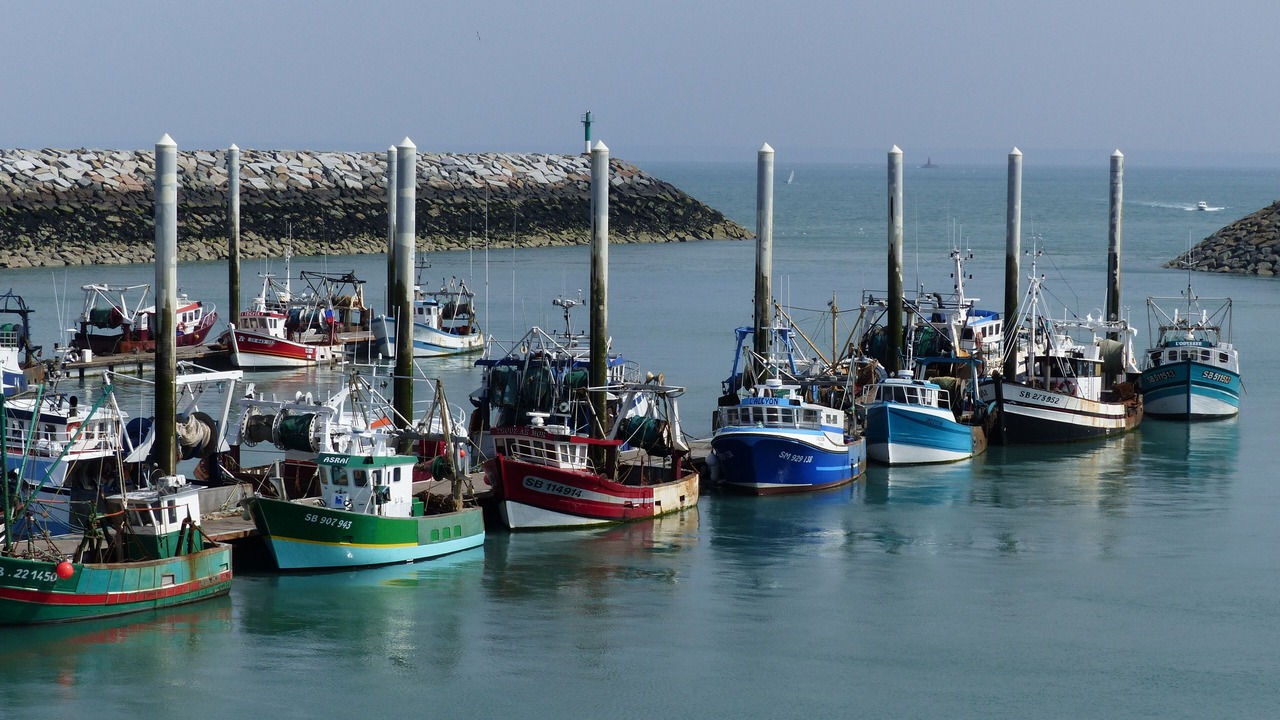 Photo of Others in Saint-Quay-Portrieux