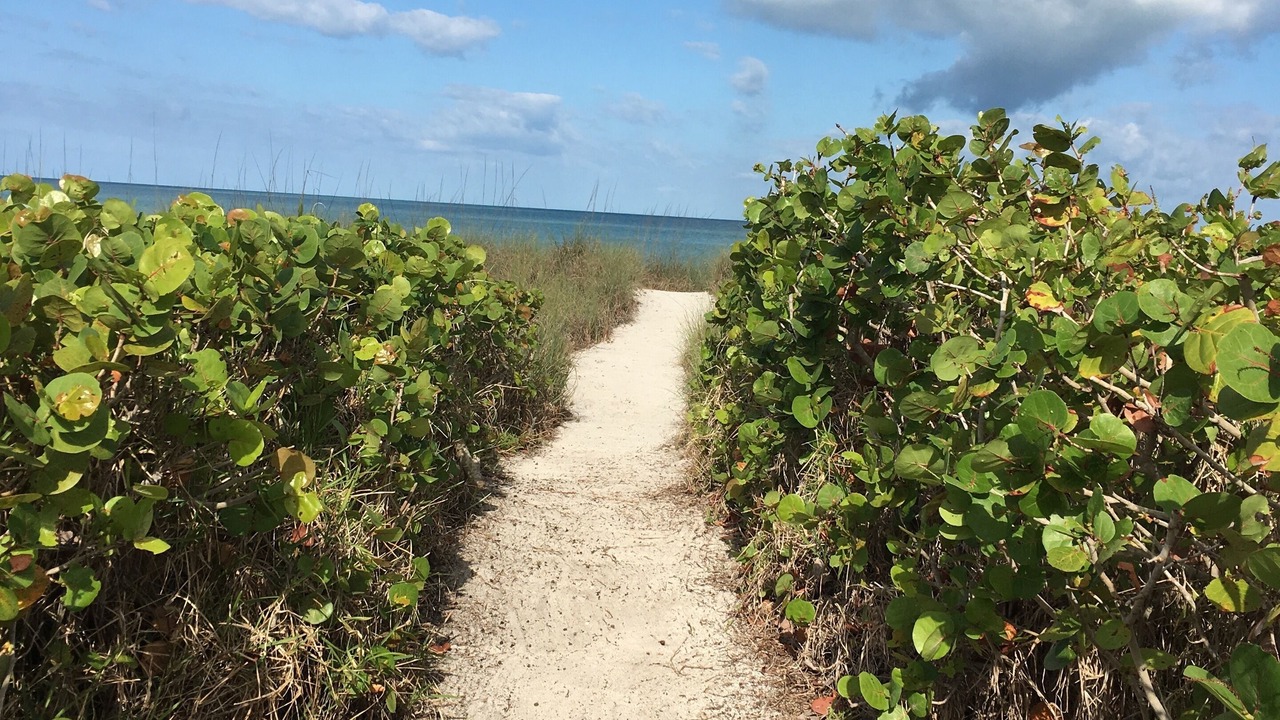 Photo of Others in Nokomis