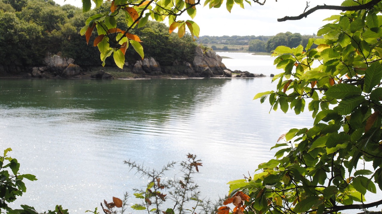 Photo of Others in Minihy-Treguier