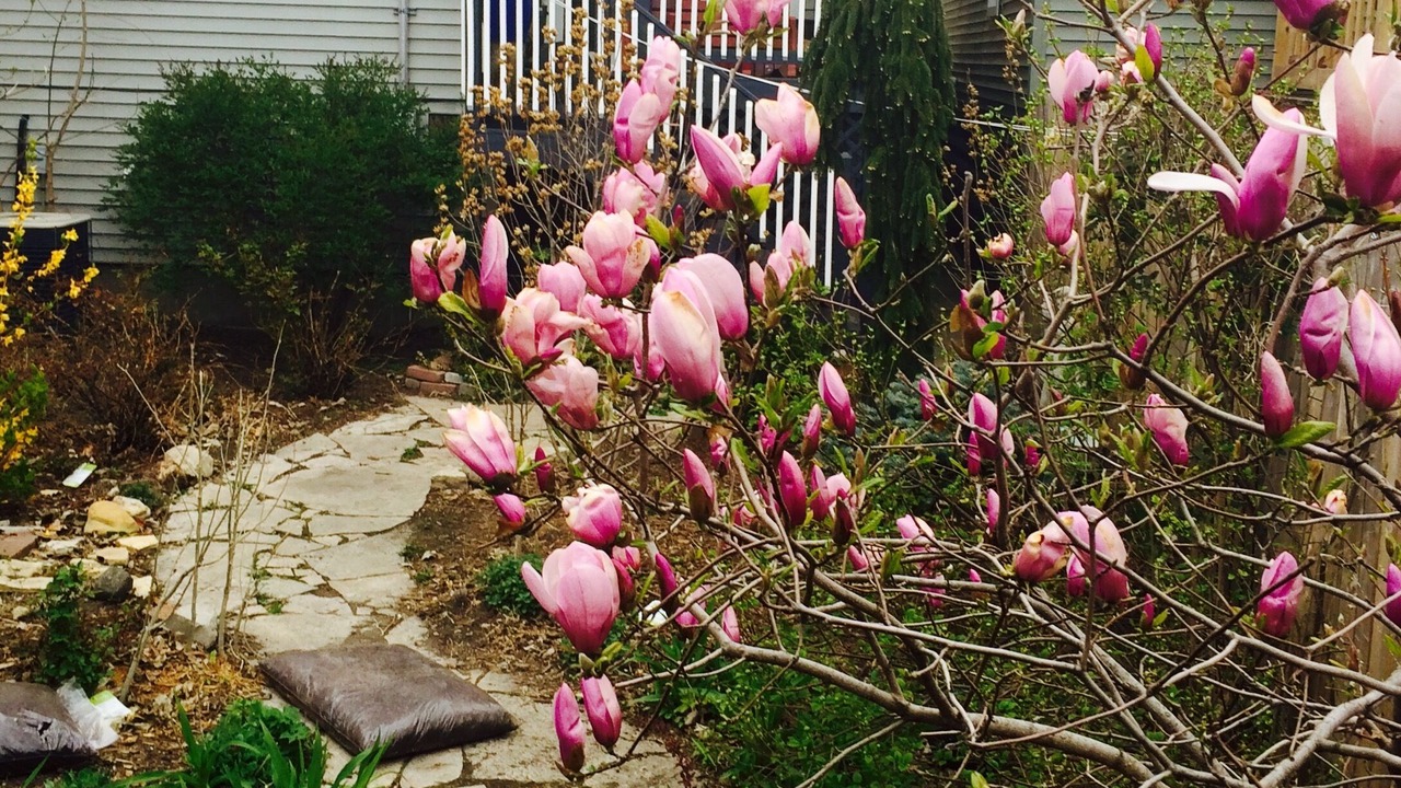 Photo of Outdoor in Rolling Prairie
