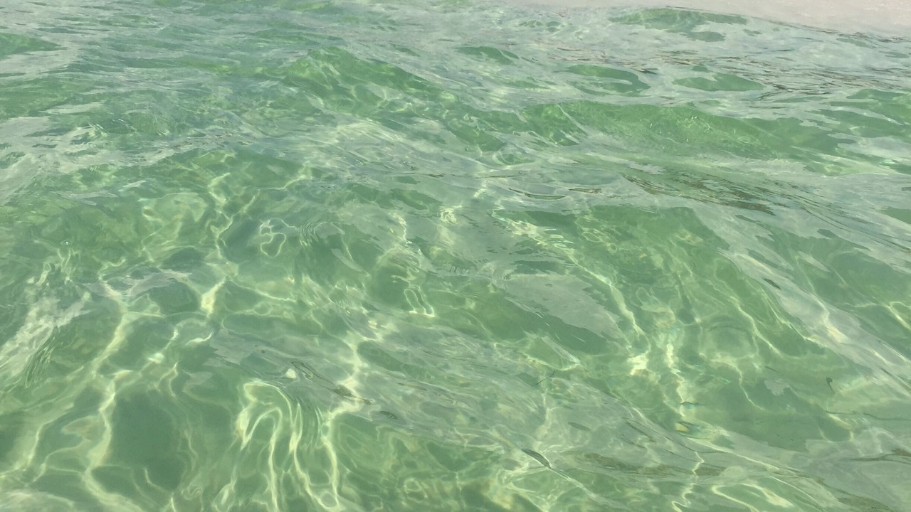 Photo of Others in Crystal Beach