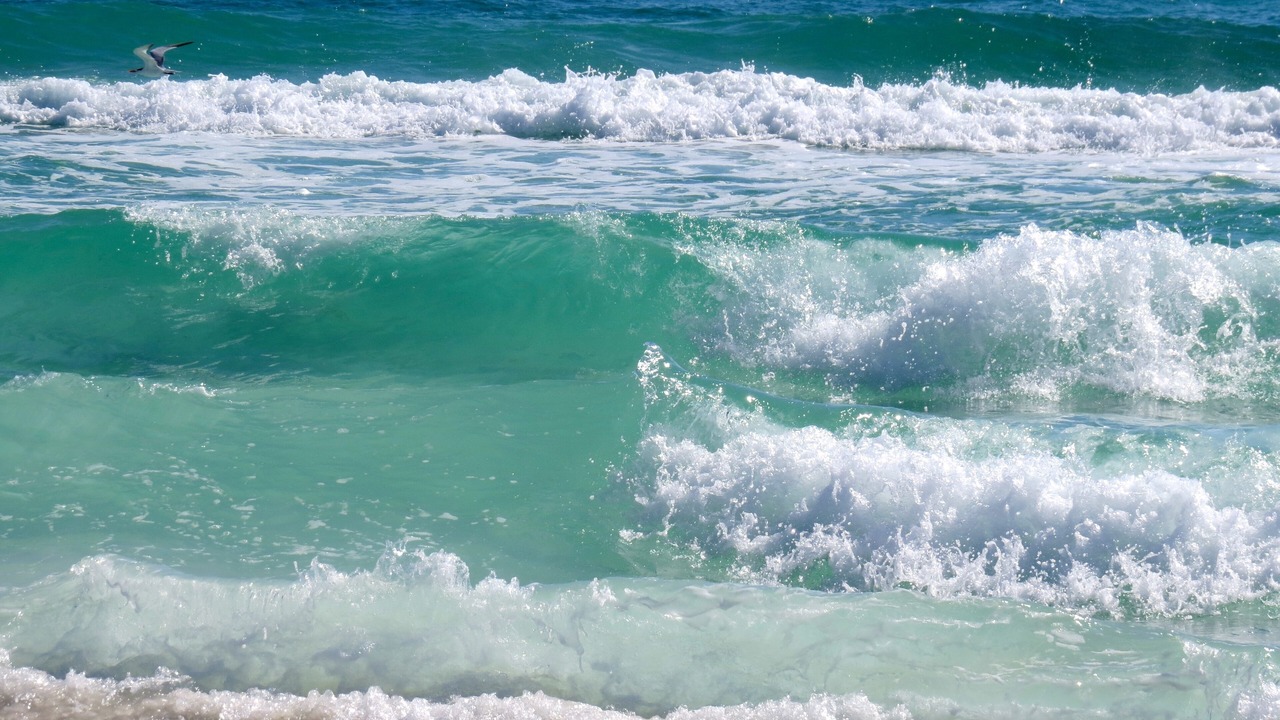 Photo of Others in Crystal Beach