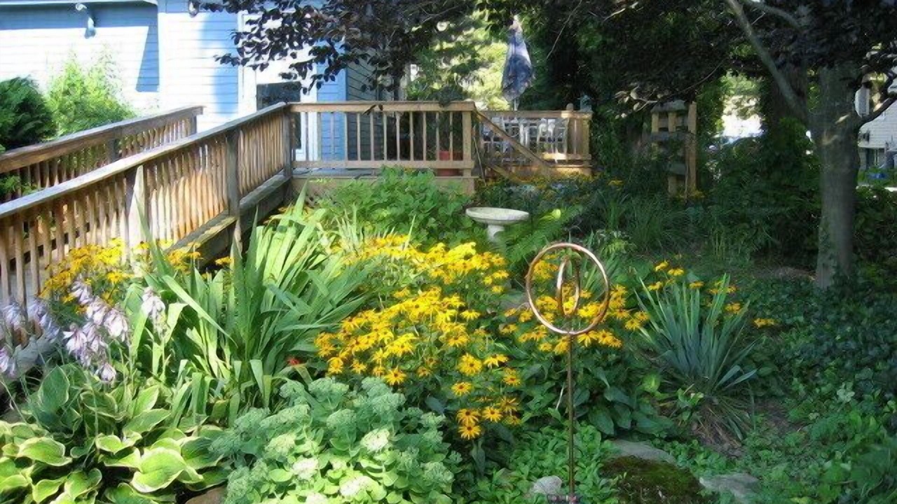 Photo of Outdoor in East Aurora