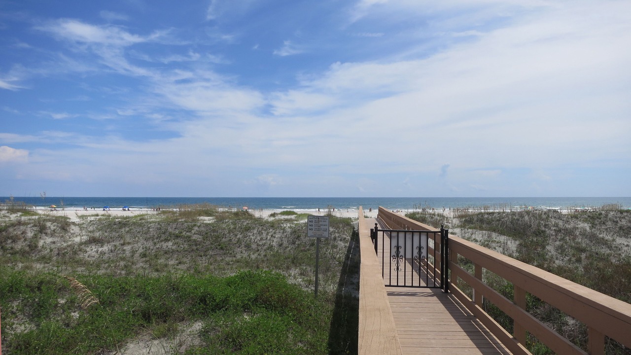 Photo of Others in St. Augustine Beach