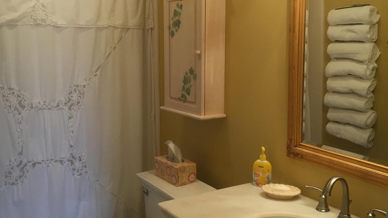 Photo of Bathroom in Copake Lake