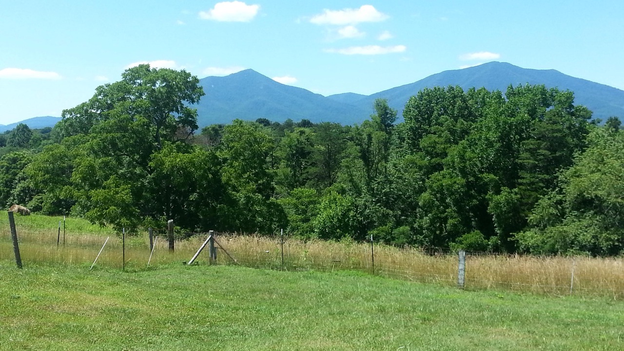Photo of Outdoor in Bedford