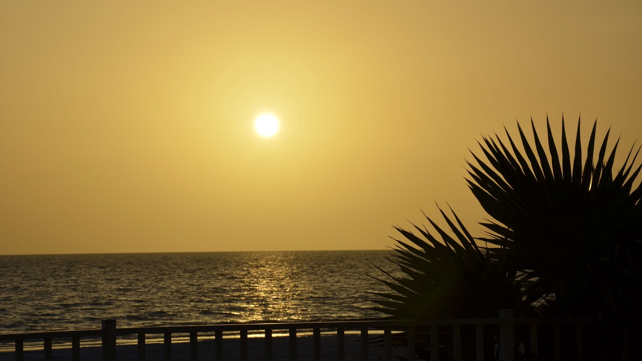 Photo of Outdoor in Indian Shores