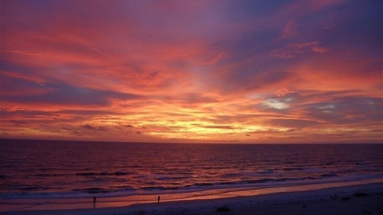 Photo of Others in Indian Shores