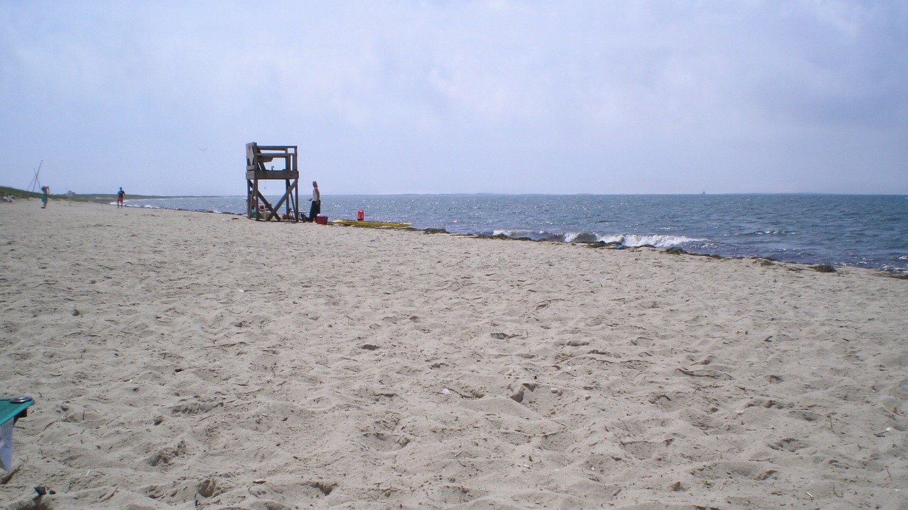 Photo of Others in West Chatham