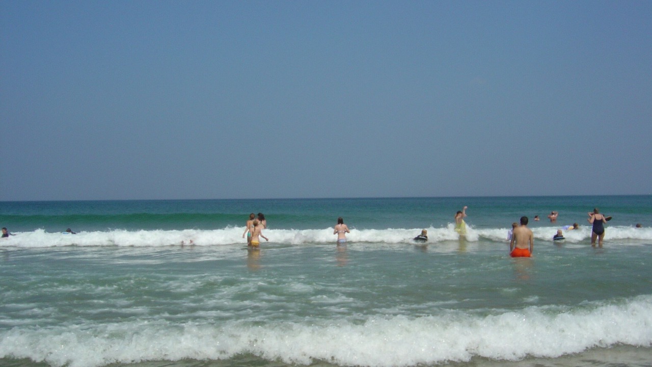 Photo of Others in West Chatham