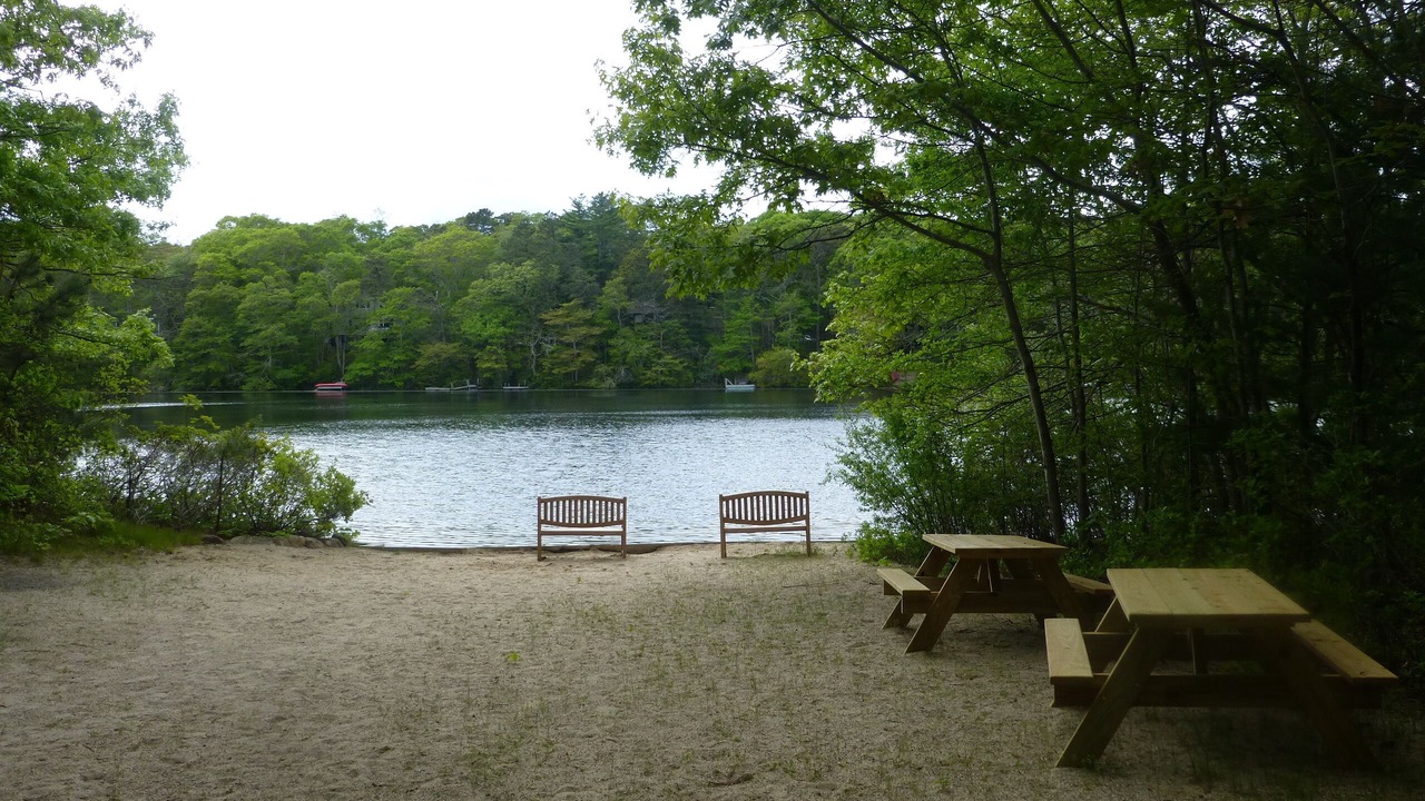 Photo of Others in Fells Pond