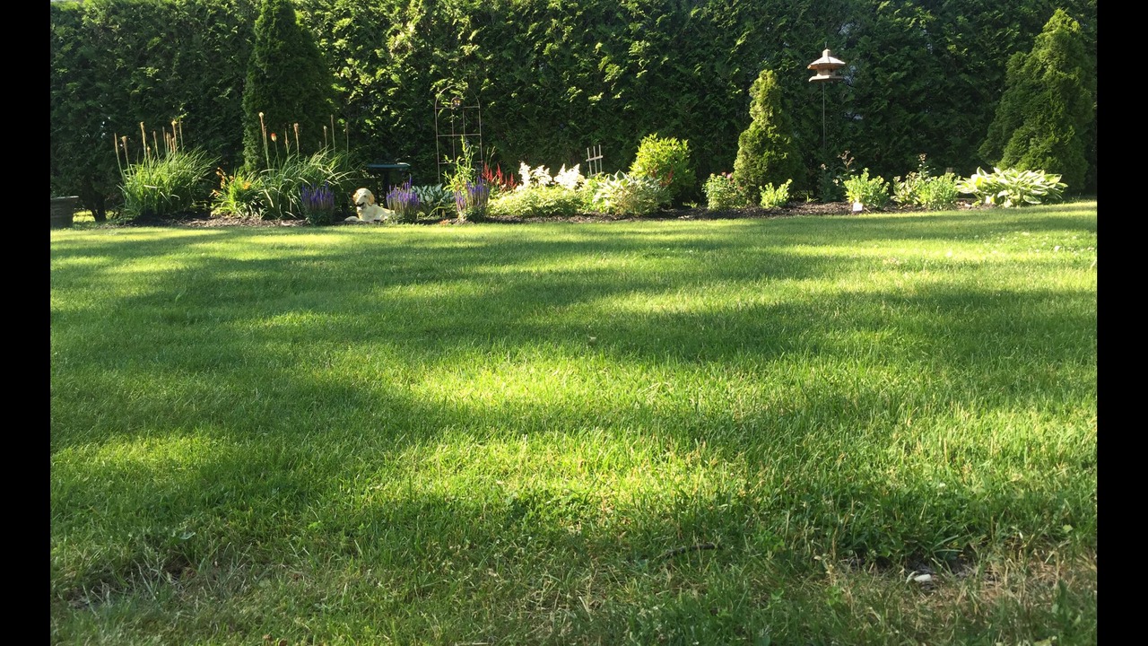 Photo of Outdoor in Blossvale