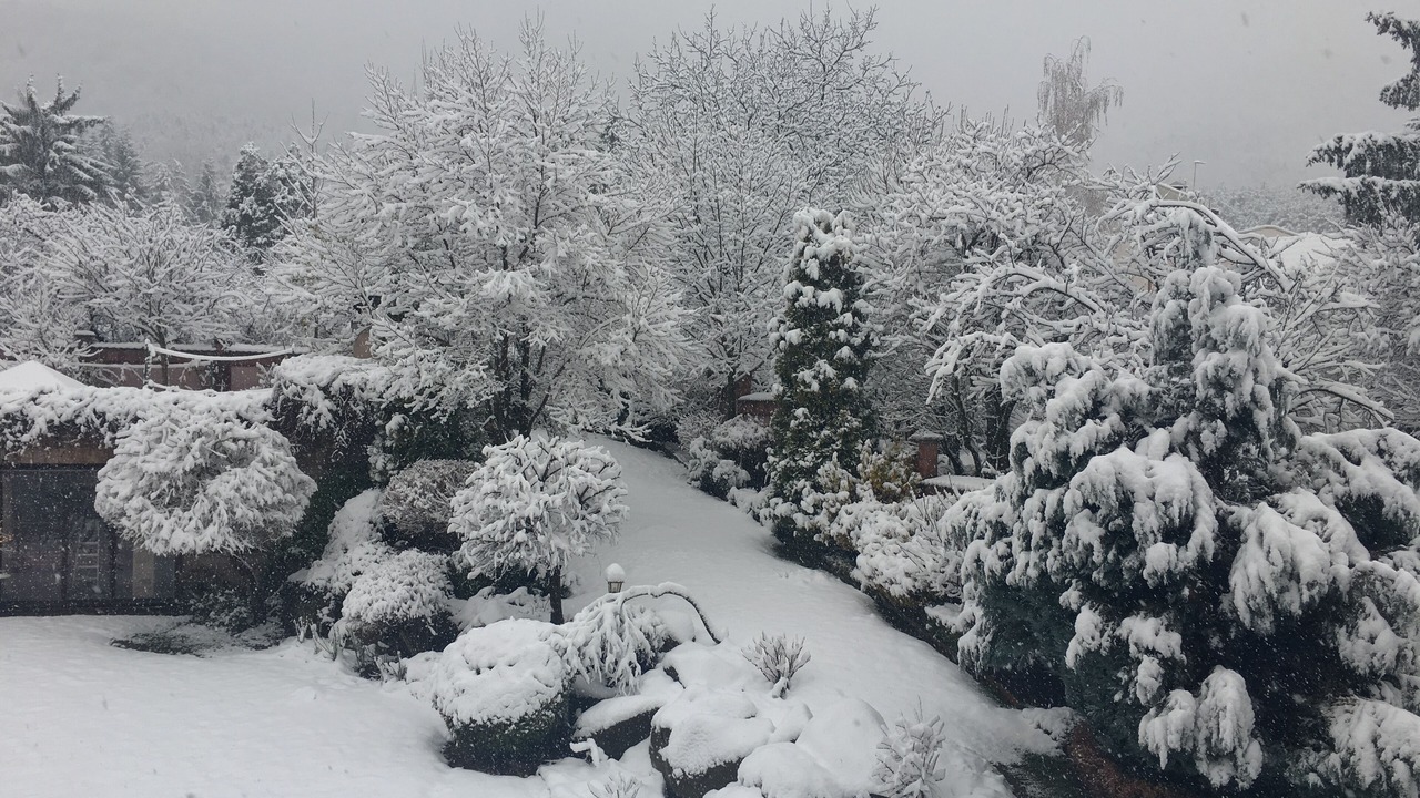 Photo of Outdoor in Vitosha District