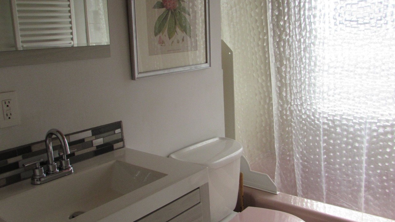 Photo of Bathroom in Downtown Niagara Falls