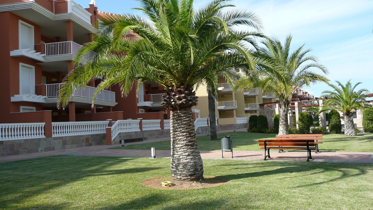 Photo of Outdoor in Almadrava Beach