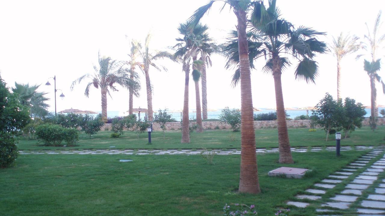 Photo of Others in Dahar