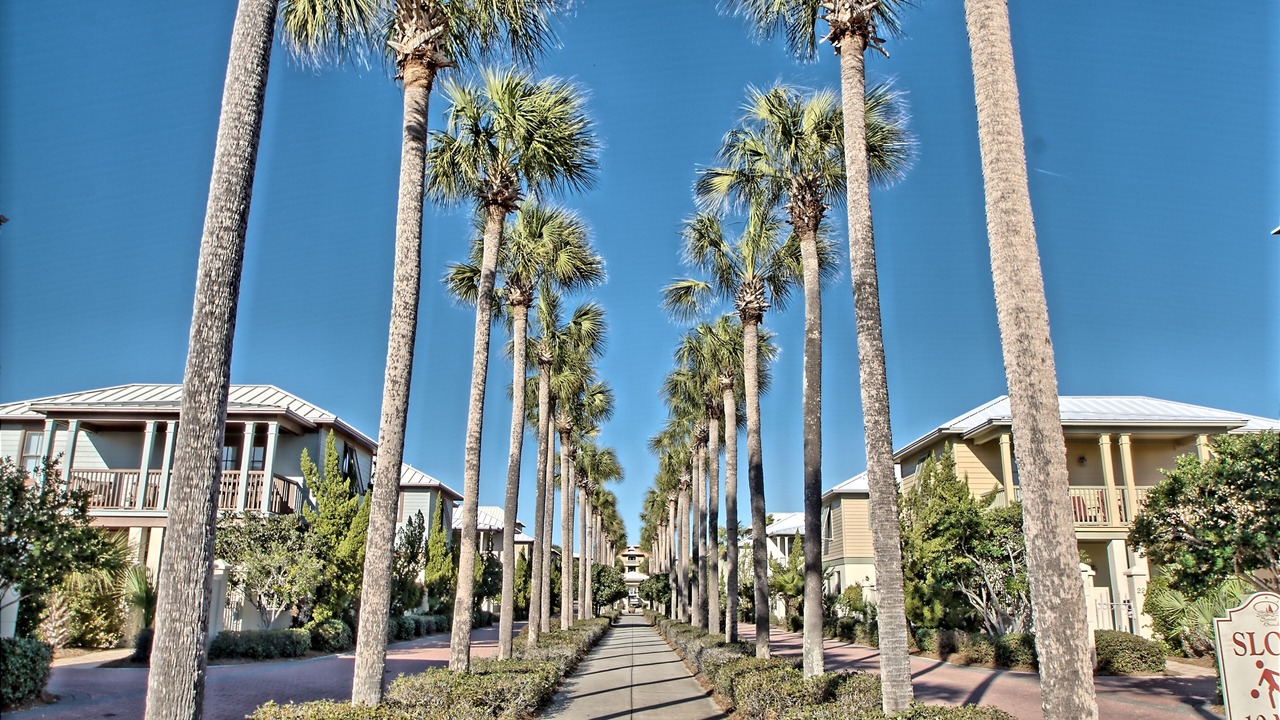 Photo of Others in Rosemary Beach
