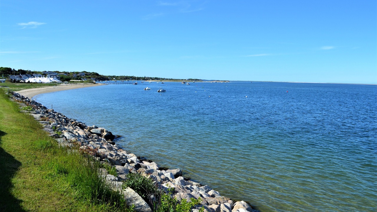 Photo of Others in Chatham