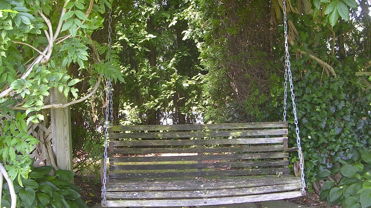 Photo of Others in Water Mill