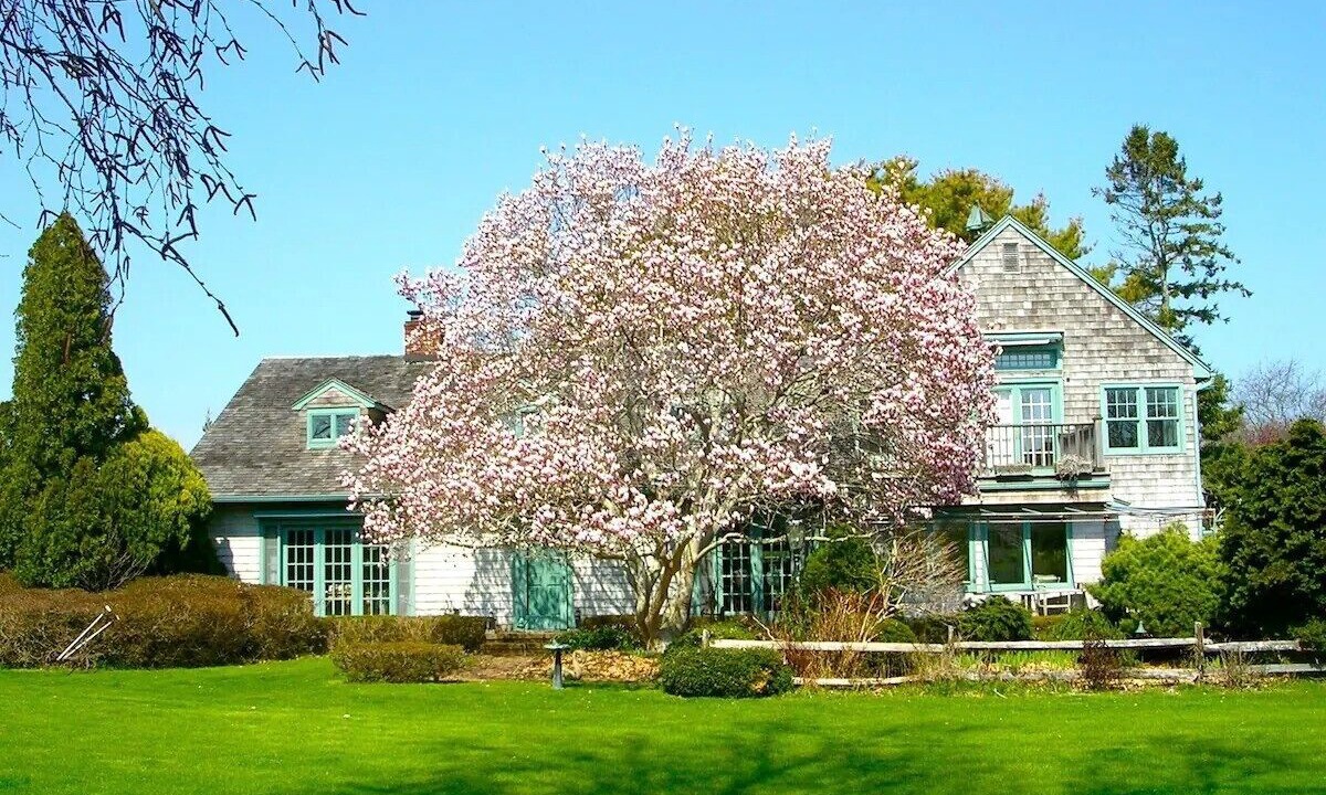Photo of Outdoor in Water Mill