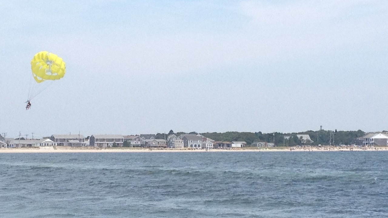 Photo of Others in South Yarmouth