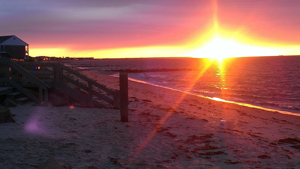 Photo of Others in South Yarmouth