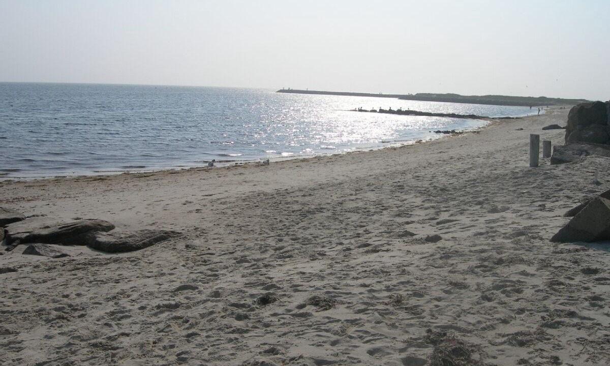 Photo of Others in South Yarmouth